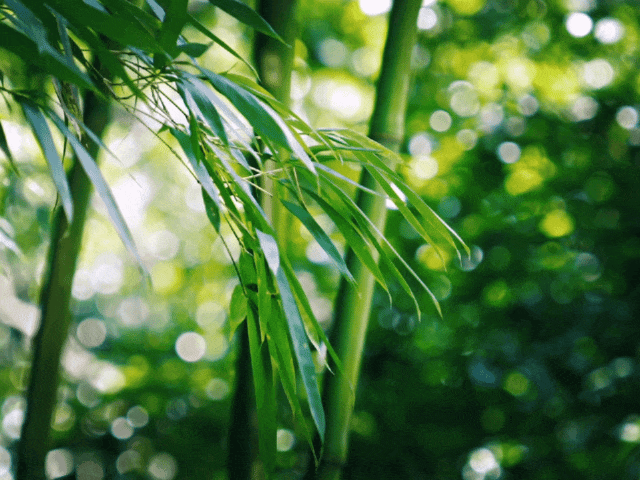 GIF_20260512_220851.gif