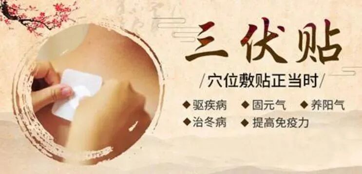 a19efacd-67a7-4d00-a7f4-49fb7fef549c.jpg