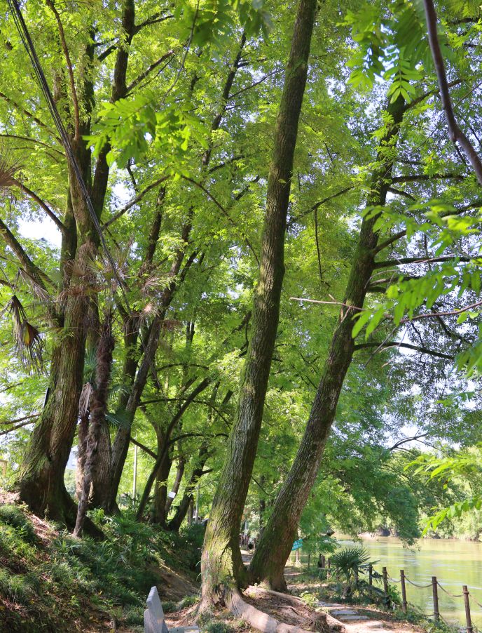 QQ20260711-103105.jpg