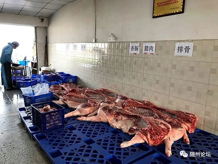 工人身着防护服,戴着帽子,口罩和手套,"全副武装"分拣货品,分割鲜猪肉