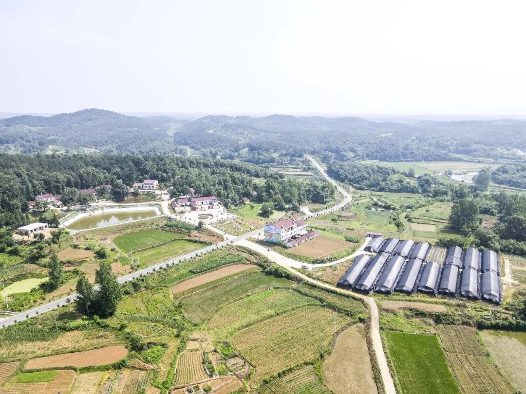 府河镇四五咀村美丽乡村靓起来