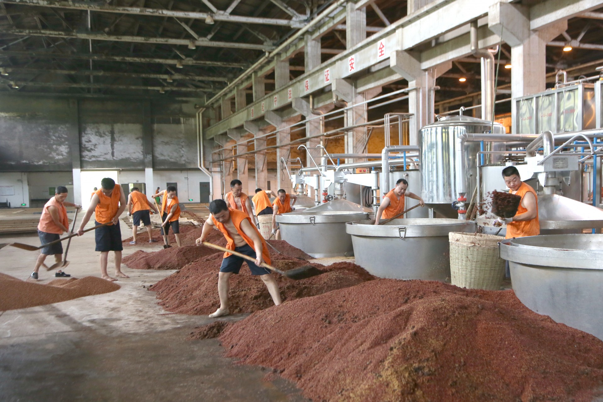 白云边酒业投料季质量月