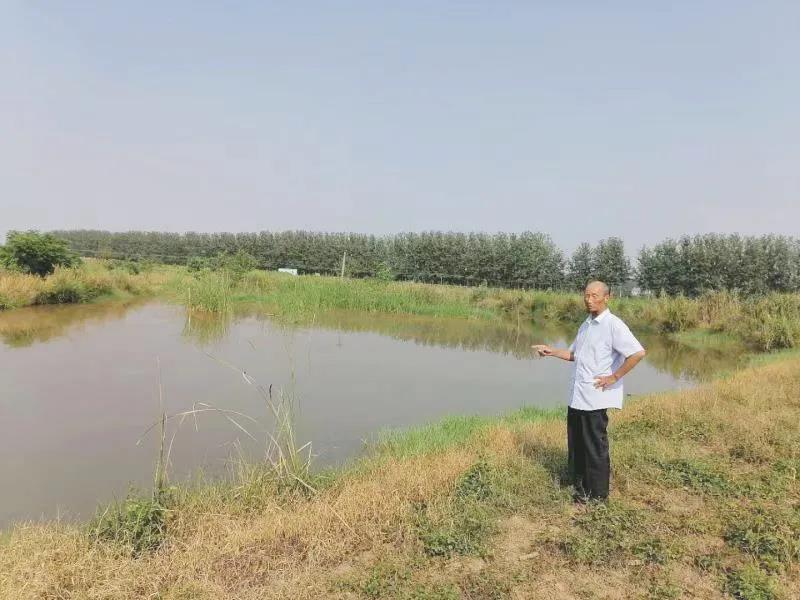 八宝镇同太湖村1组与龟咀村10组接壤处,有一口500平方米,椭圆形,锅底