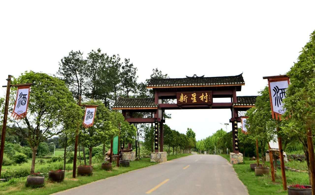 其中,街河市镇新星村《做好"清廉新星"文章 助