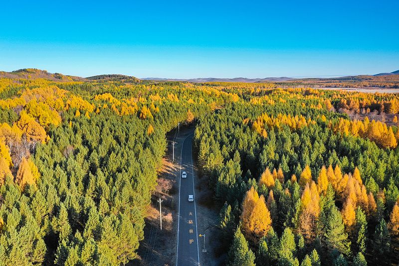 红色旅游河北塞罕坝机械林场