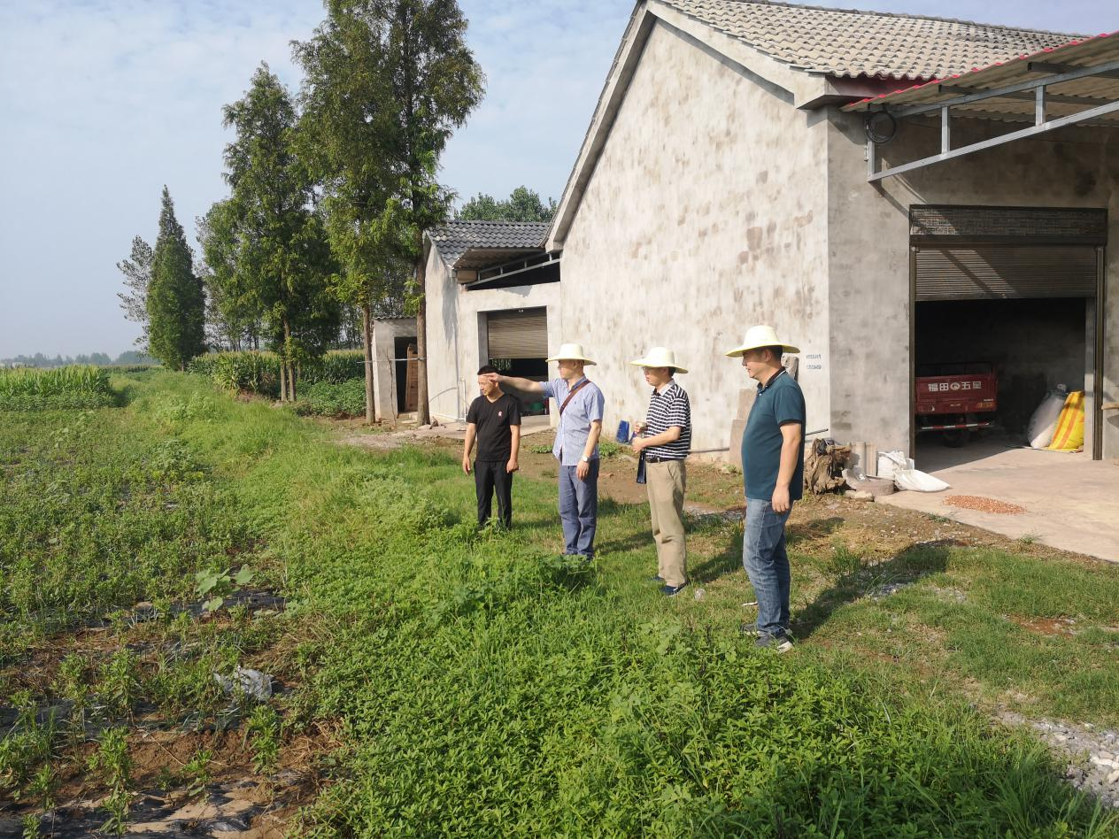 松滋市侨联到涴市镇开展蹲点式调研