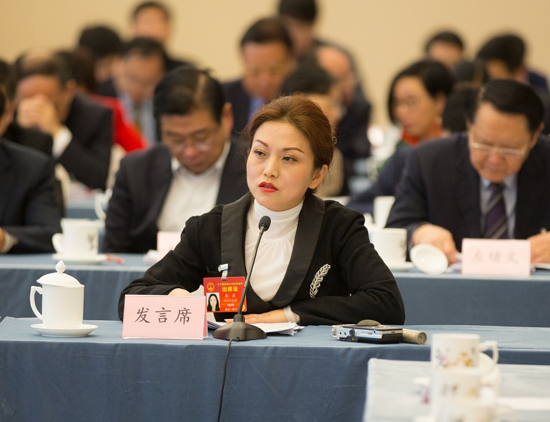 湖北声音李莉代表畅通残疾人参政议政渠道