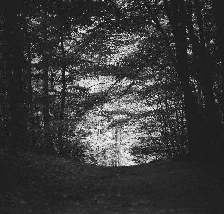 二月燃起黑色的春天