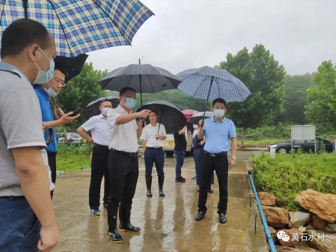 吴之凌来到铁金港陆雁鸿段详细查看下游水质,并沿港道向上游实地查看