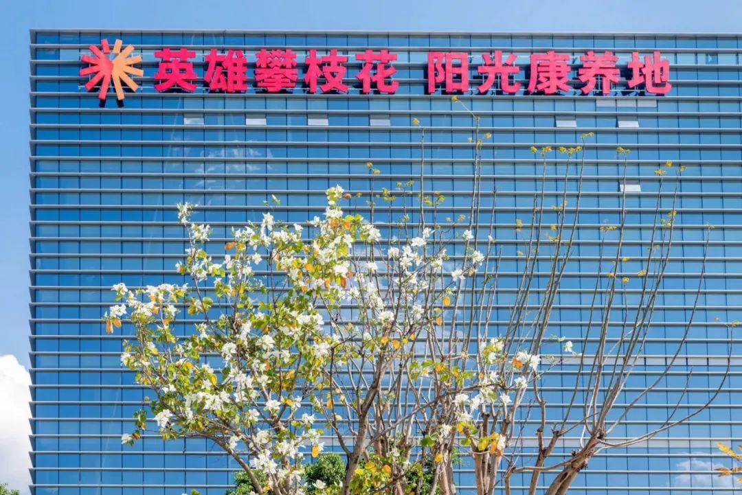 英雄攀枝花 阳光康养地_云上黄石