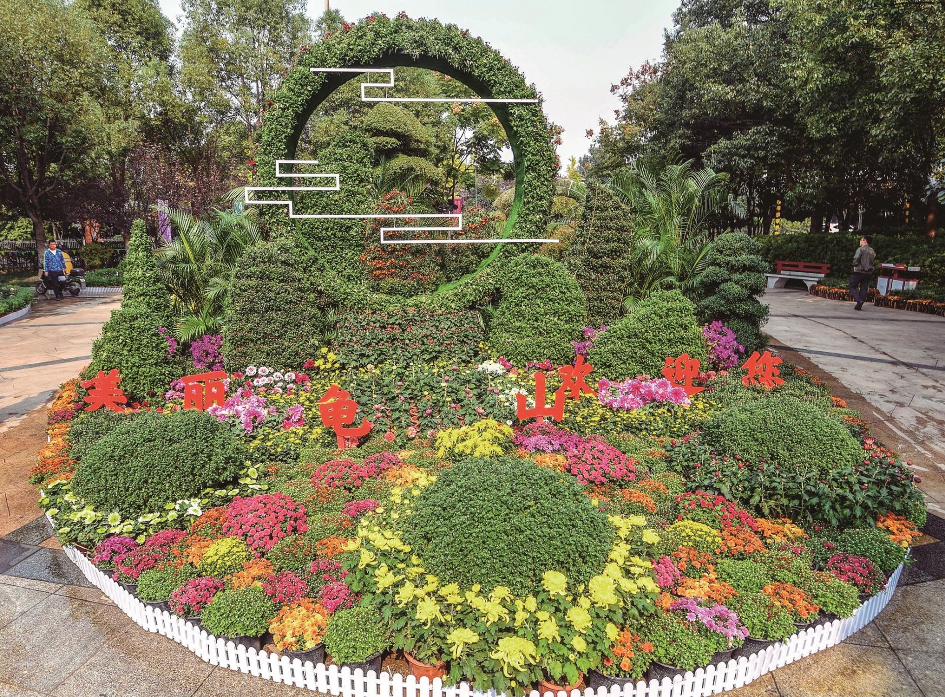 第38届武汉金秋菊展盛装开幕