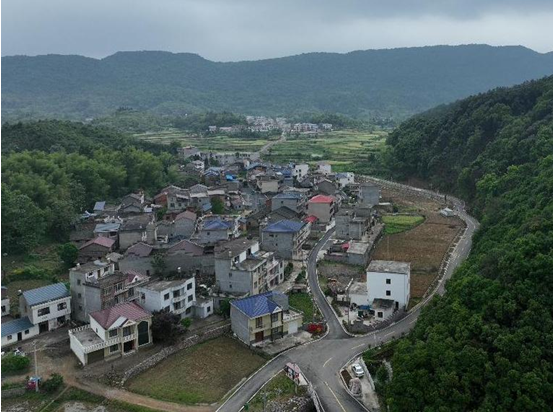阳新枫林镇四好路链接农民幸福路