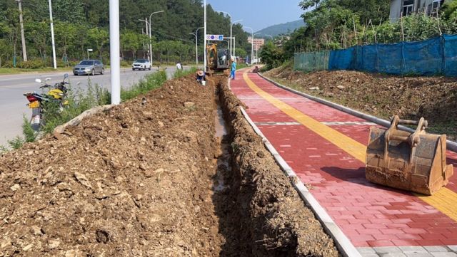 建新镇金山街道图片