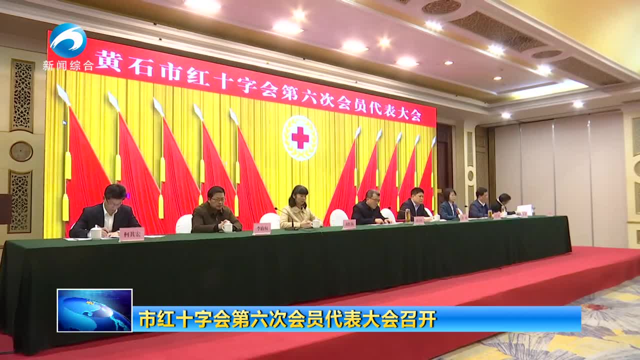 市红十字会第六次会员代表大会召开