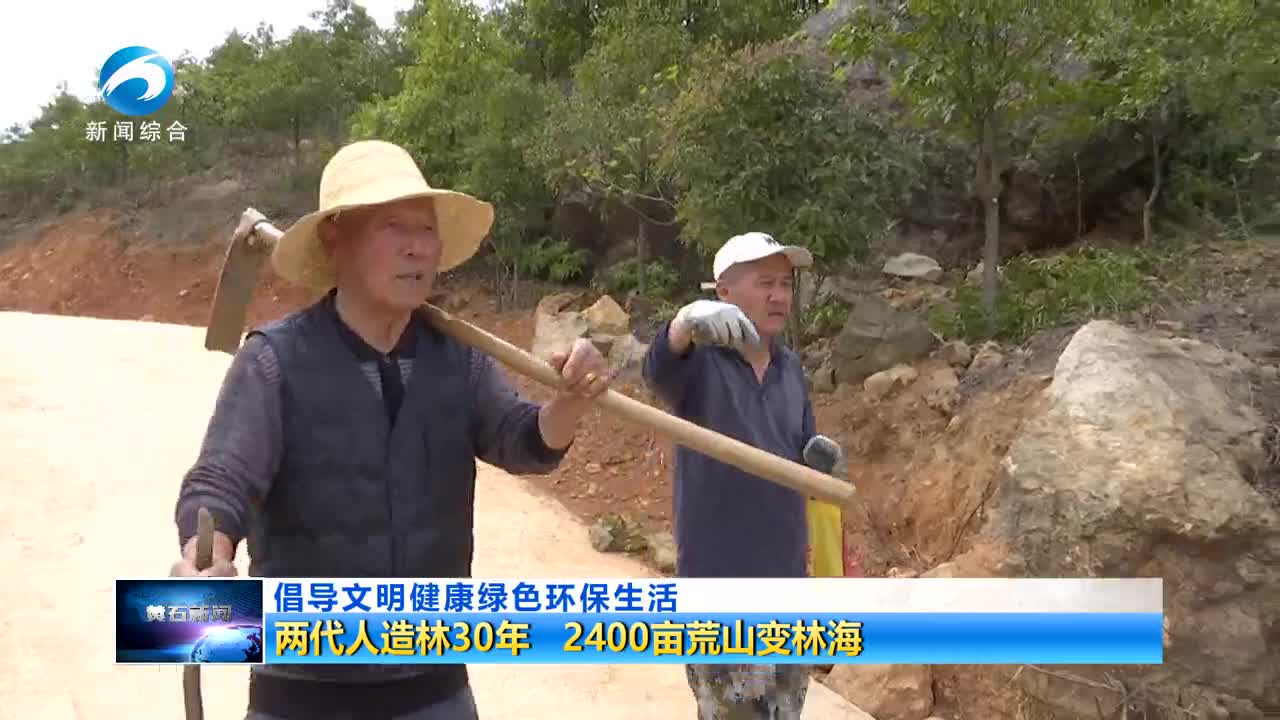 两代人造林30年 2400亩荒山变林海