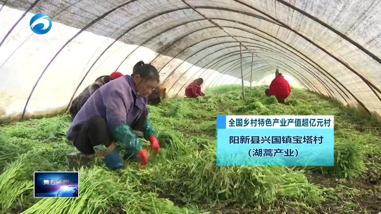阳新两村认证农业“国字号”