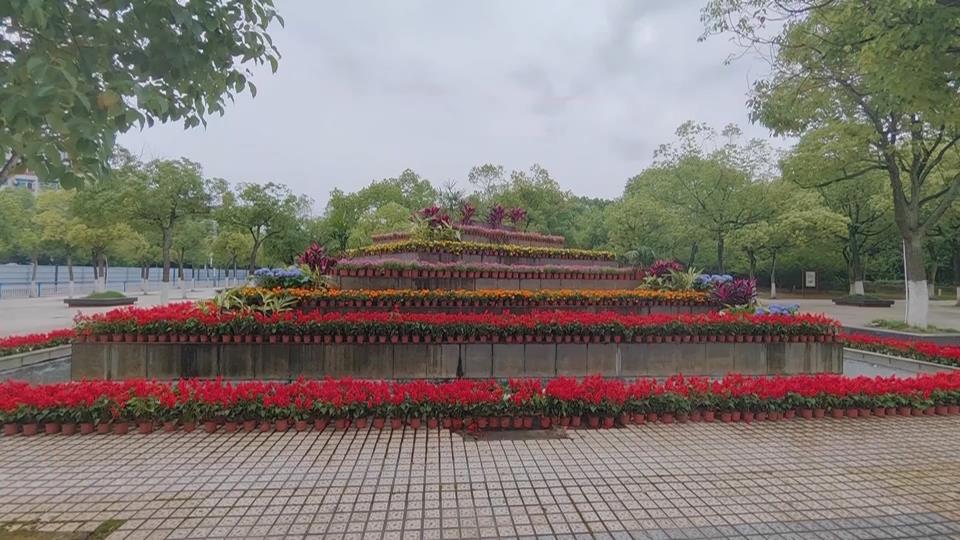 【新闻直通车】杭州路湖锦路路口有个“莫奈花园”