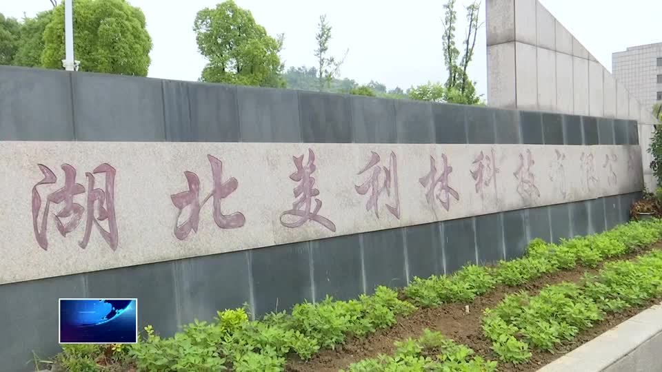 打造增长极 建功先行区 | 美利林公司入选国家级专精特新“小巨人”