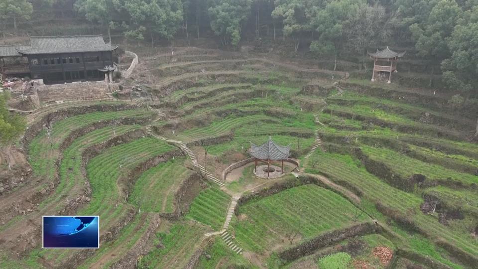 共赴春光 绿满黄石 | 下陆区：擦亮绿水青山“底色” 提升高质量发展“成色”