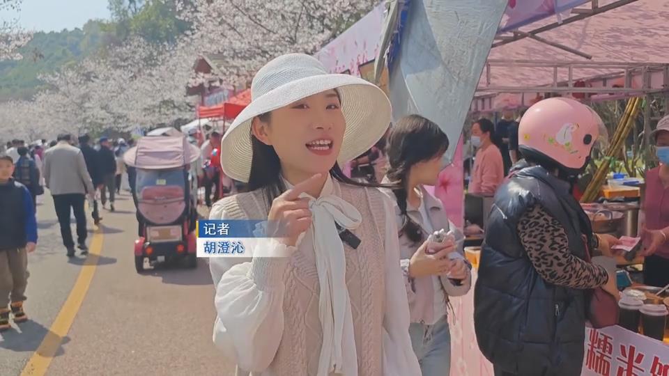 【新闻直通车】春季游园会 | 来樱花游园会逛吃逛吃