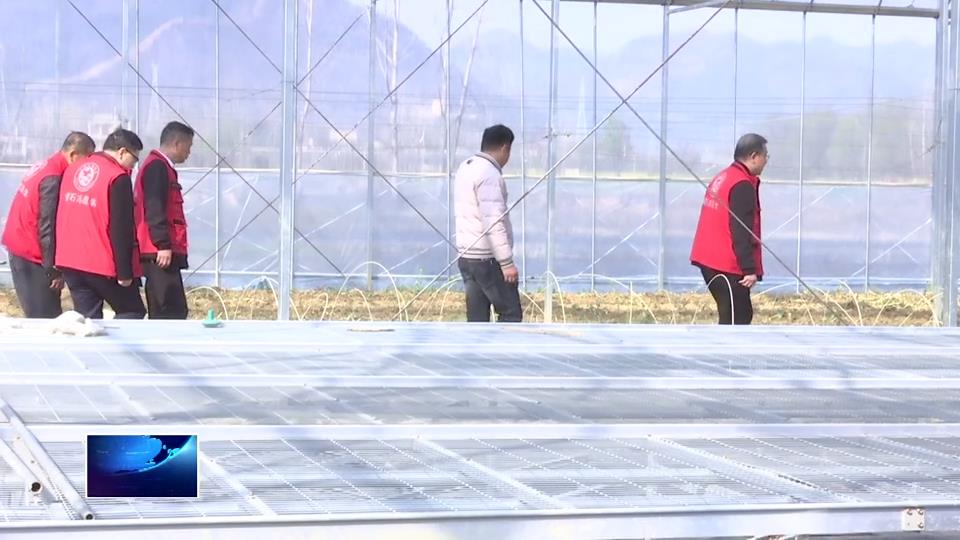 人勤春来早 春耕备耕忙 | 农业专家退休不褪色 一线服务助力春耕生产