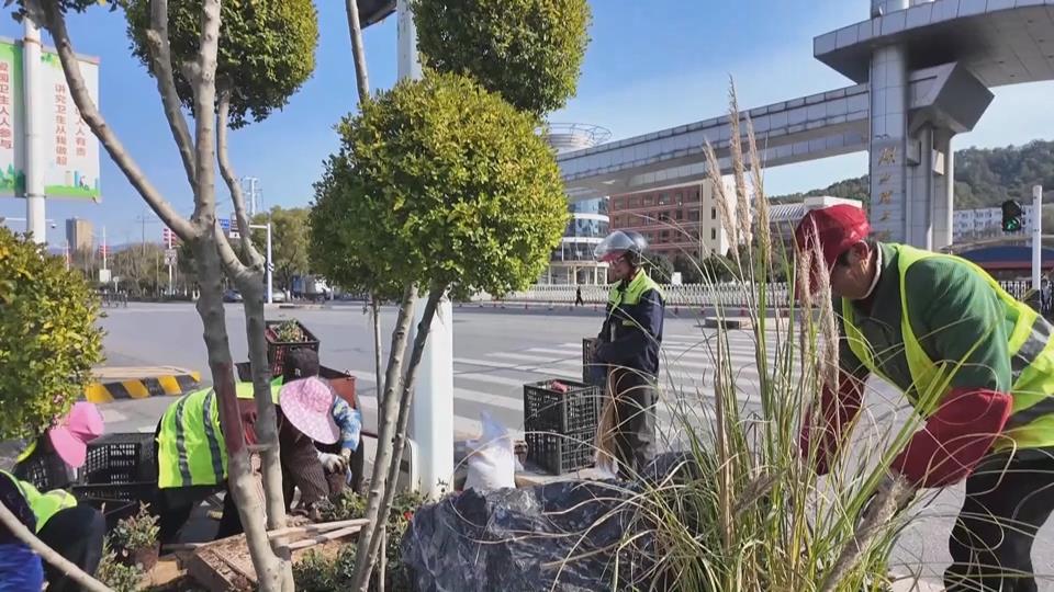 【新闻直通车】世界森林日 | 打造立体景观带 绿影摇曳花添彩