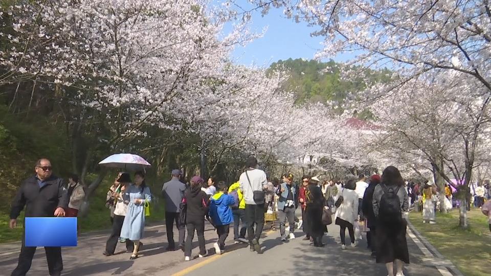 【新闻直通车】花好月圆·花城计划 | 我市首届花卉市集活动在团城山公园开幕