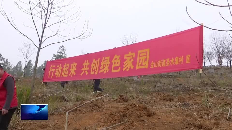 不負春光 綠滿黃石 | 金山街道：全民植樹造林 共建美麗金山