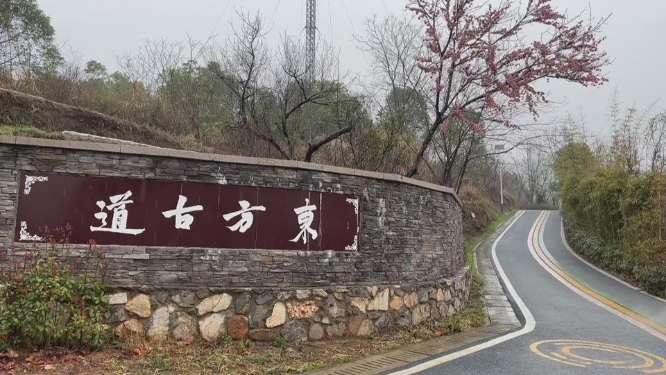 【新闻直通车】世界森林日 | 植树护绿 东方山的春日约定
