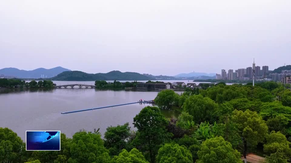 上春山 采春茶 游黃石 | 2025年黃石“杜康杯”磁湖釣魚比賽5月1日開賽