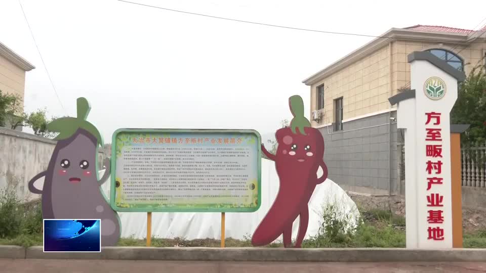 在希望的田野上 | 大箕铺镇方至畈村：“蔬”写绿色致富路