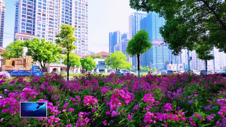 直通县市区·第一时间 | 黄石港区：街巷变花廊 秀出高颜值
