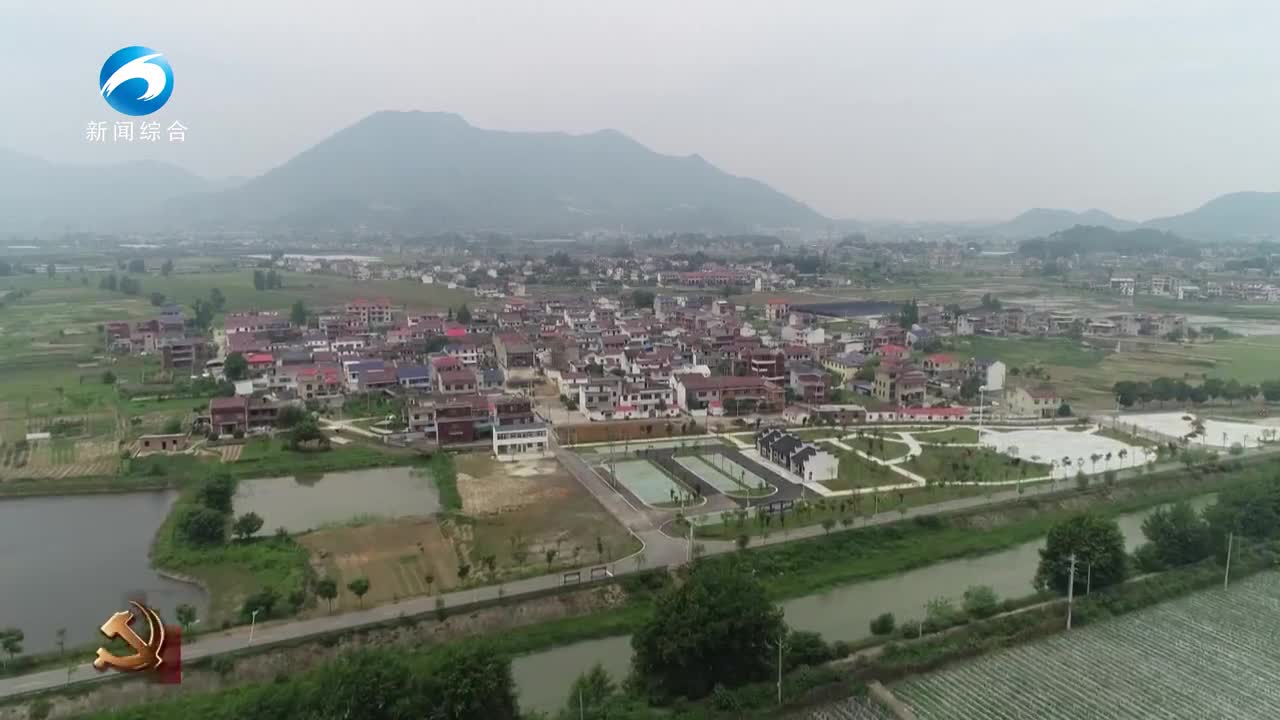 学思践悟 | 方至畈村：小蔬菜种出乡村振兴大产业