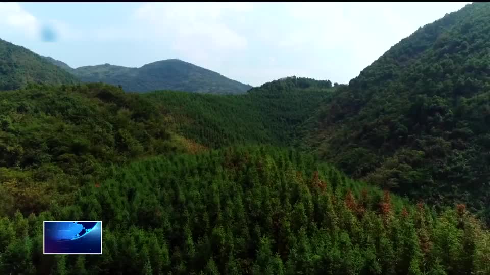 上春山 采春茶 游黃石 | 陽新楓林地心大峽谷研學(xué)路線成功入選中國(guó)地質(zhì)學(xué)會(huì)精品路線
