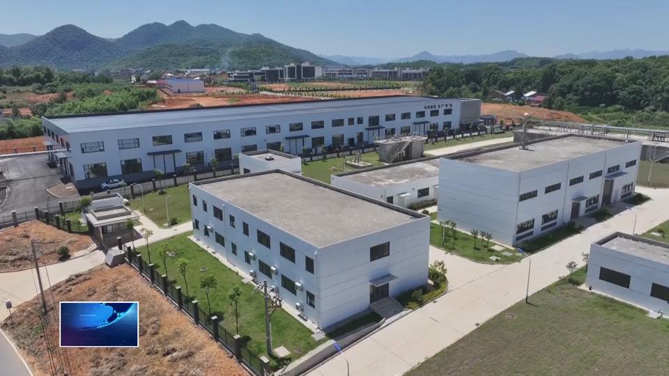 在希望的田野上 | 从“春茶一季”到“四时有收” 阳新建成湖北省首条全自动乌龙茶大宗茶生产线