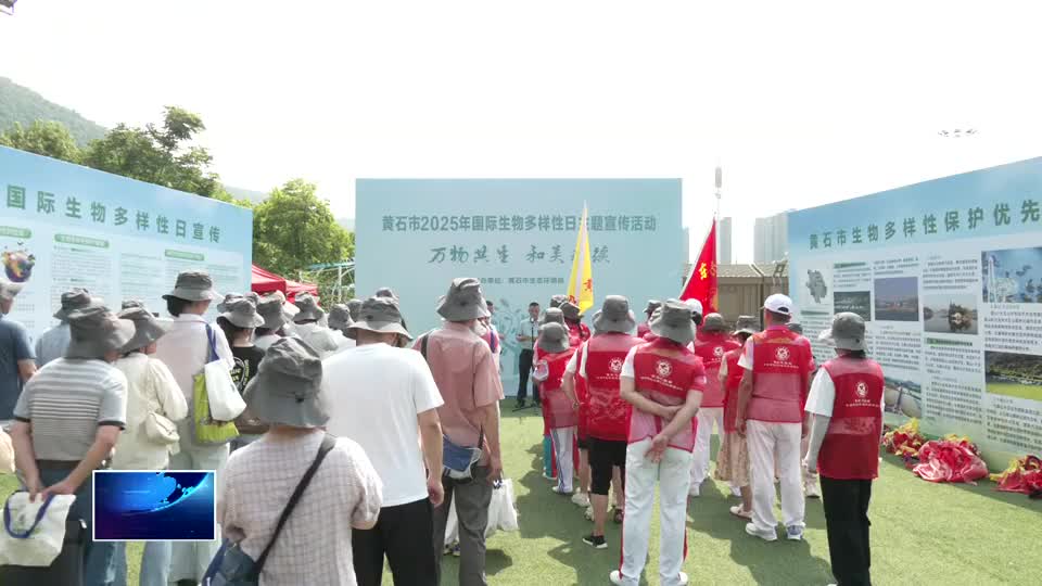 国际生物多样性日 | 生物多样性 你我共参与