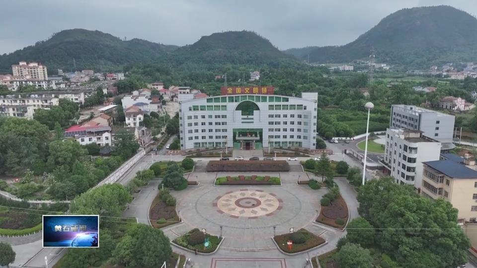 楚商歸巢 黃石弄潮 | 靈鄉(xiāng)鎮(zhèn)：精準服務 讓企業(yè)“引得來” “留得住”“發(fā)展好”