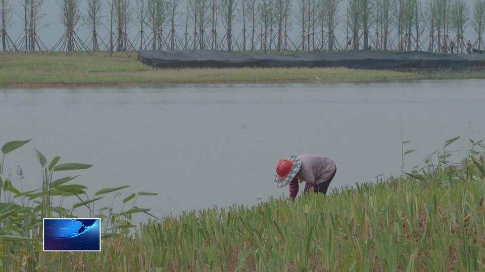 奋战二季度 冲刺双过半 | 风雨无阻 大冶湖北岸环湖绿道建设加速推进