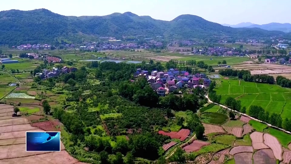 全力防汛备汛 筑牢安全防线 | 茗山乡：多措并举 筑牢水域安全防线