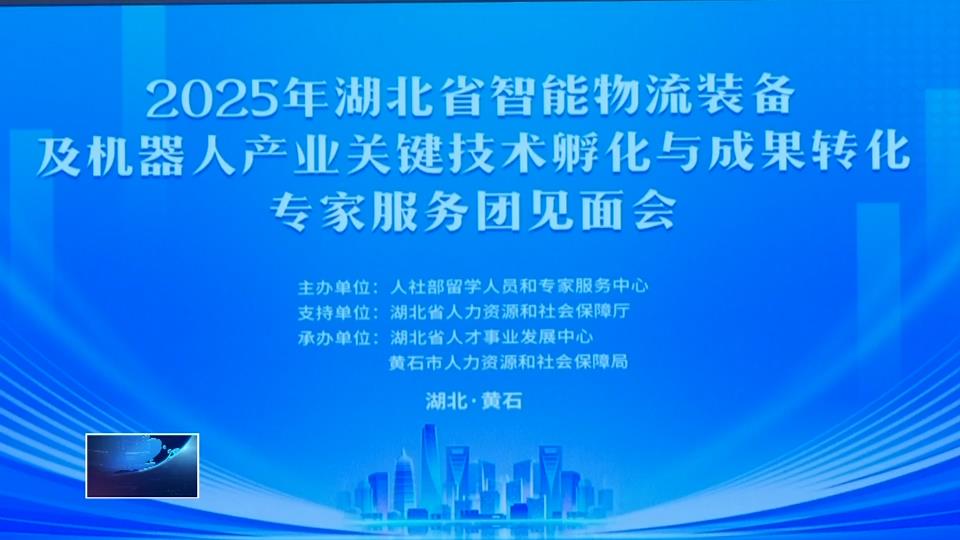 人社部專家服務(wù)基層示范團(tuán)走進(jìn)黃石 “把脈問診”助企發(fā)展