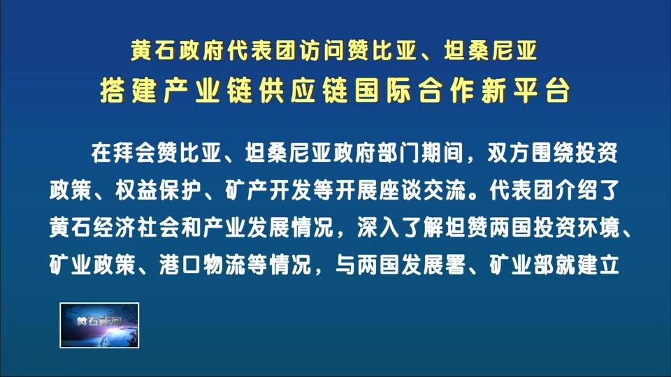 黄石政府代表团访问赞比亚、坦桑尼亚 搭建产业链供应链国际合作新平台