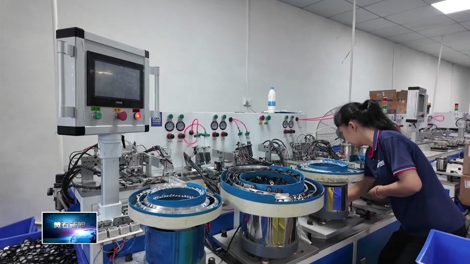 奋进第一方阵 建功支点建设 | 出口转内销 我市外贸企业加速融入“双循环”