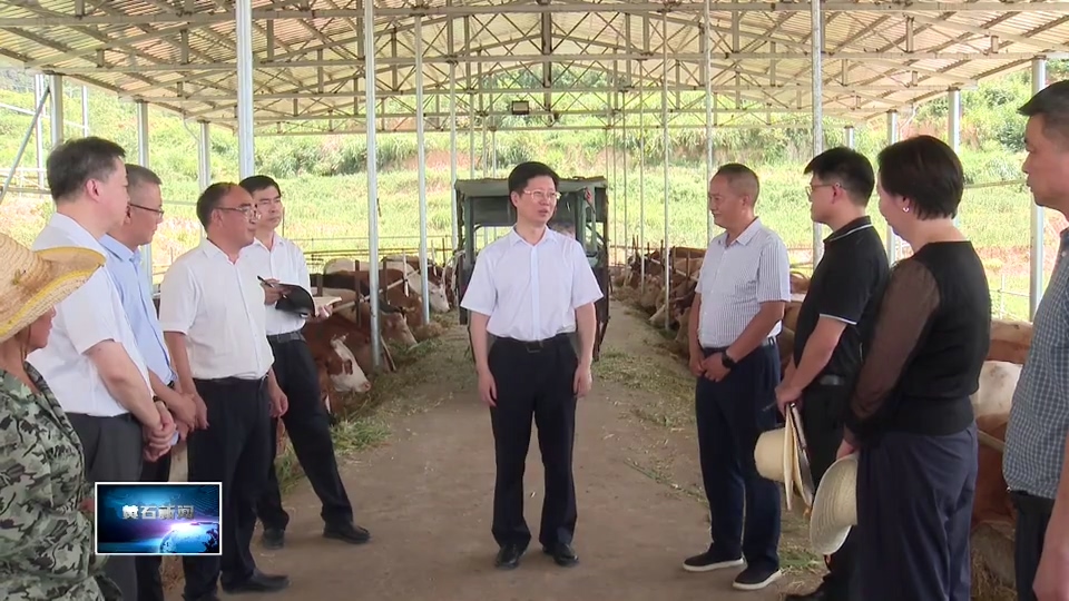 郄英才调研巩固拓展脱贫攻坚成果同乡村振兴有效衔接工作 | 坚持目标导向问题导向结果导向 推动巩固拓展脱贫攻坚成果质效整体提升