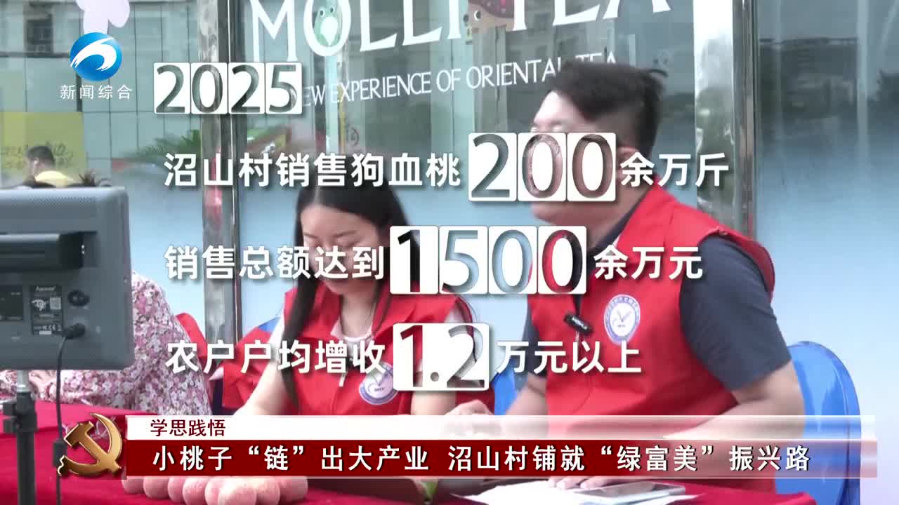 学思践悟 | 小桃子“链”出大产业 沼山村铺就“绿富美”振兴路