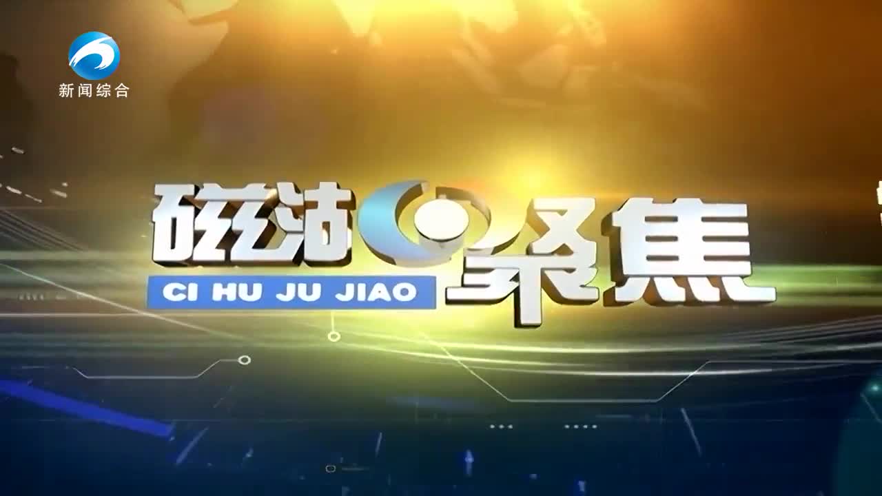 《磁湖聚焦——营商环境观察》| 看黄石新港如何打赢“大豆保卫战”