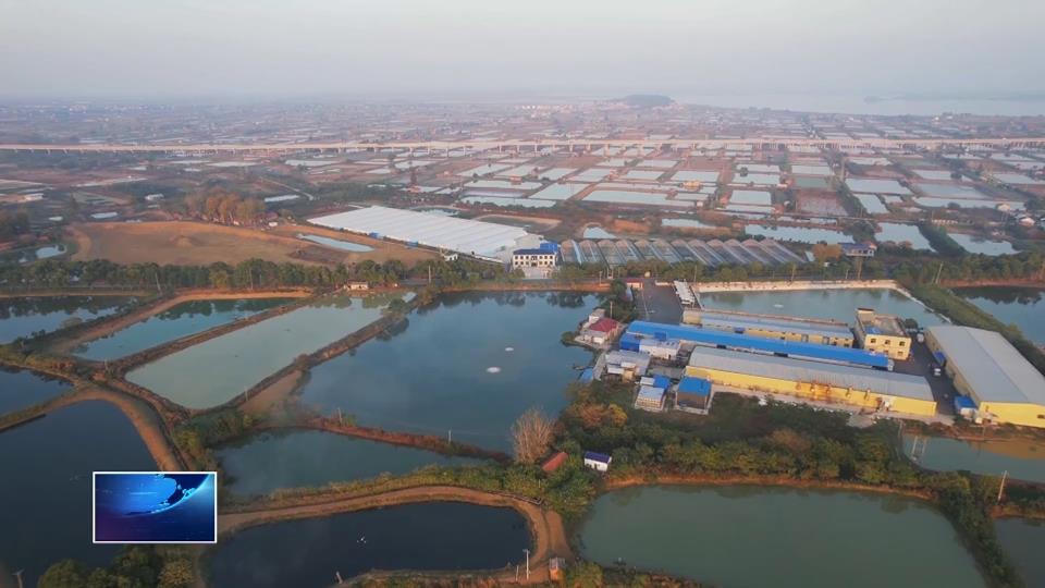 加快建成增长极 建功支点新黄石· 沃野竞风流 “丰”景这边好（一）| 产业提质 “链”出富民新动能