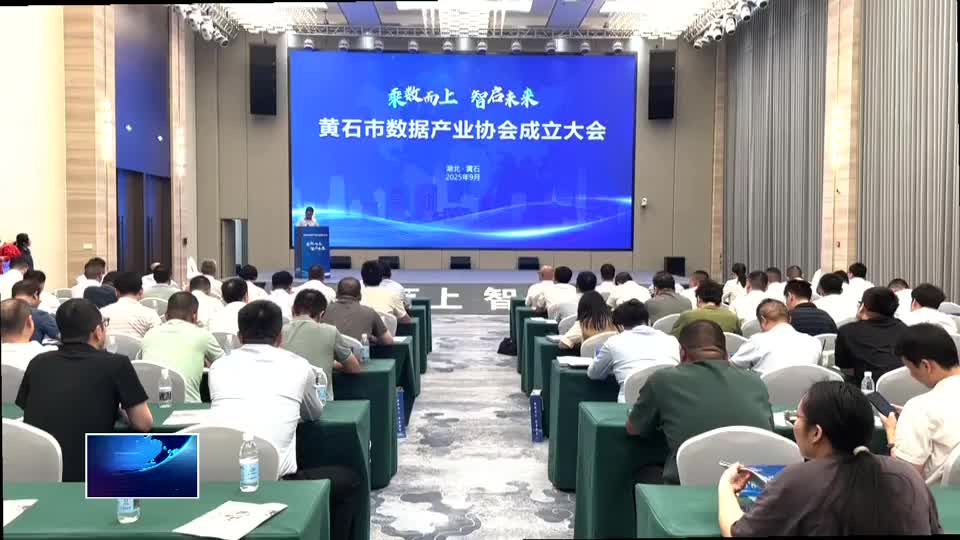 黄石市数据产业协会成立