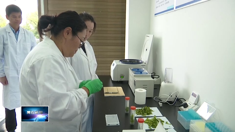 我为群众办实事 | 罗家桥街道：严把检测关 守护群众“菜篮子”安全
