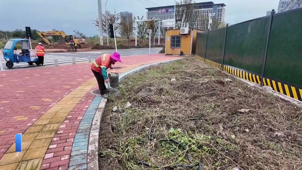 【新闻直通车】致敬“城市美容师” | 周四桂：跟打理家一样 让城市天天整洁