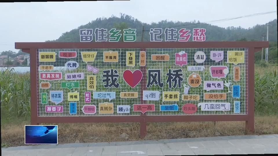 在希望的田野上·秋收 | 風(fēng)橋村：“風(fēng)橋有米”豐收 村民既掙糧又掙錢